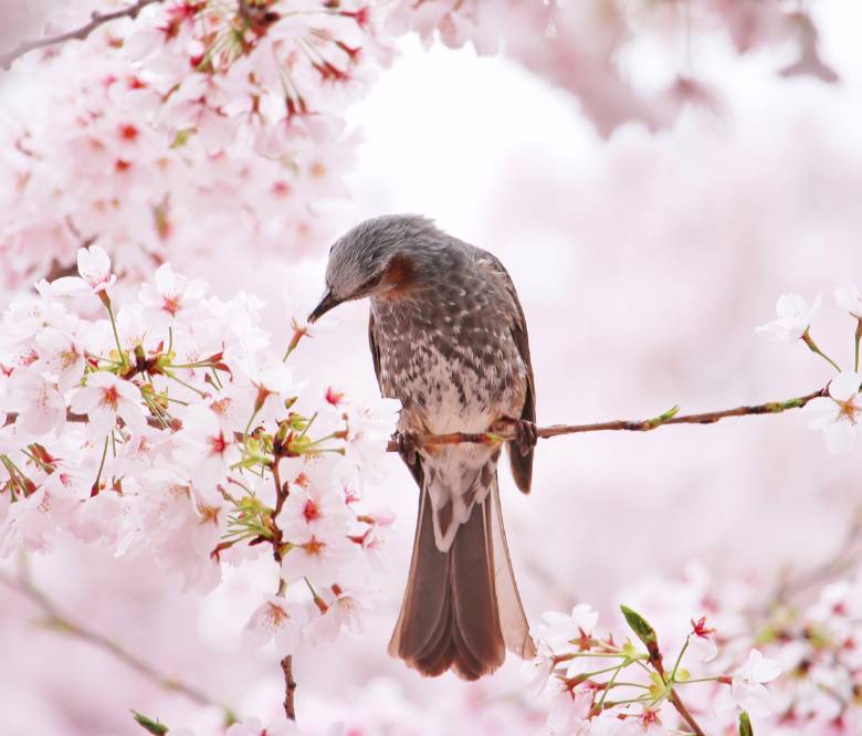 Fine Art & Photography